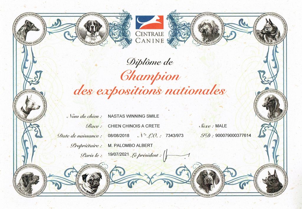 Little Champs - Nouveau Champion