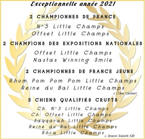 Little Champs - Splendides résultats en 2021 !
