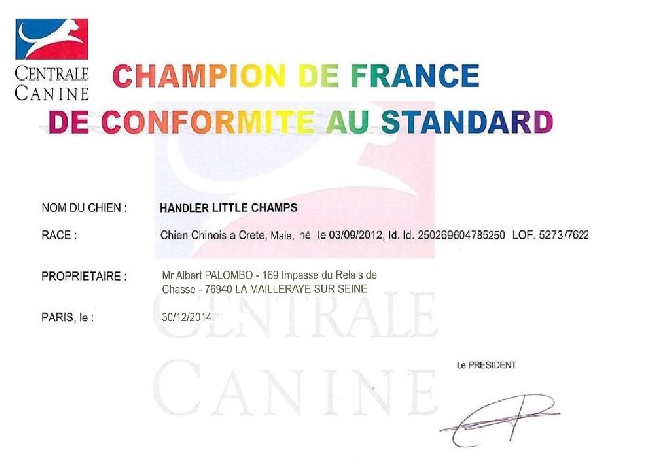 Little Champs - Champion de France