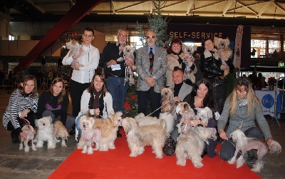 Little Champs - Brussels Dog Show