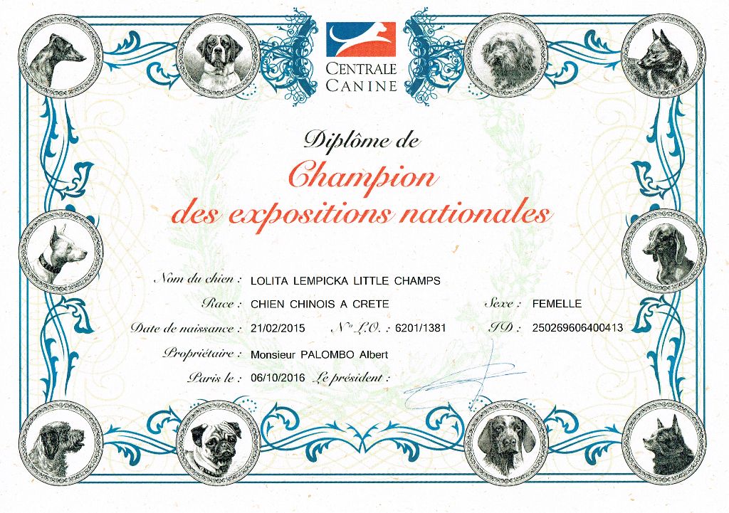 Little Champs - Beau diplôme pour Ch. Lolita Lempicka Little Champs
