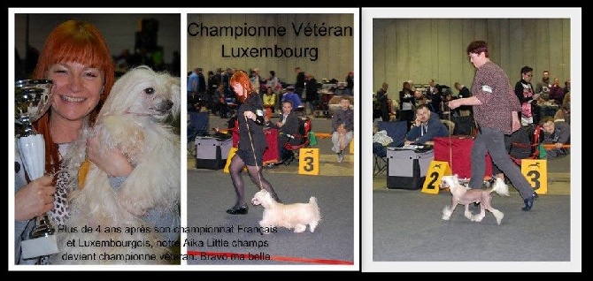 Little Champs - Exposition Internationale de Luxembourg