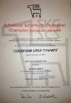 Little Champs - Championne Suisse