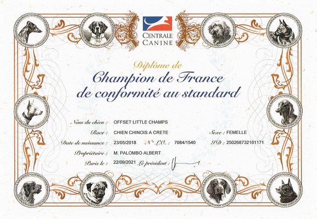 Little Champs - Championne de France