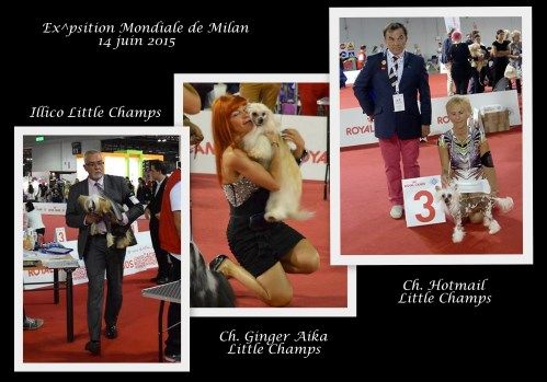 Little Champs - Exposition Mondiale de Milan