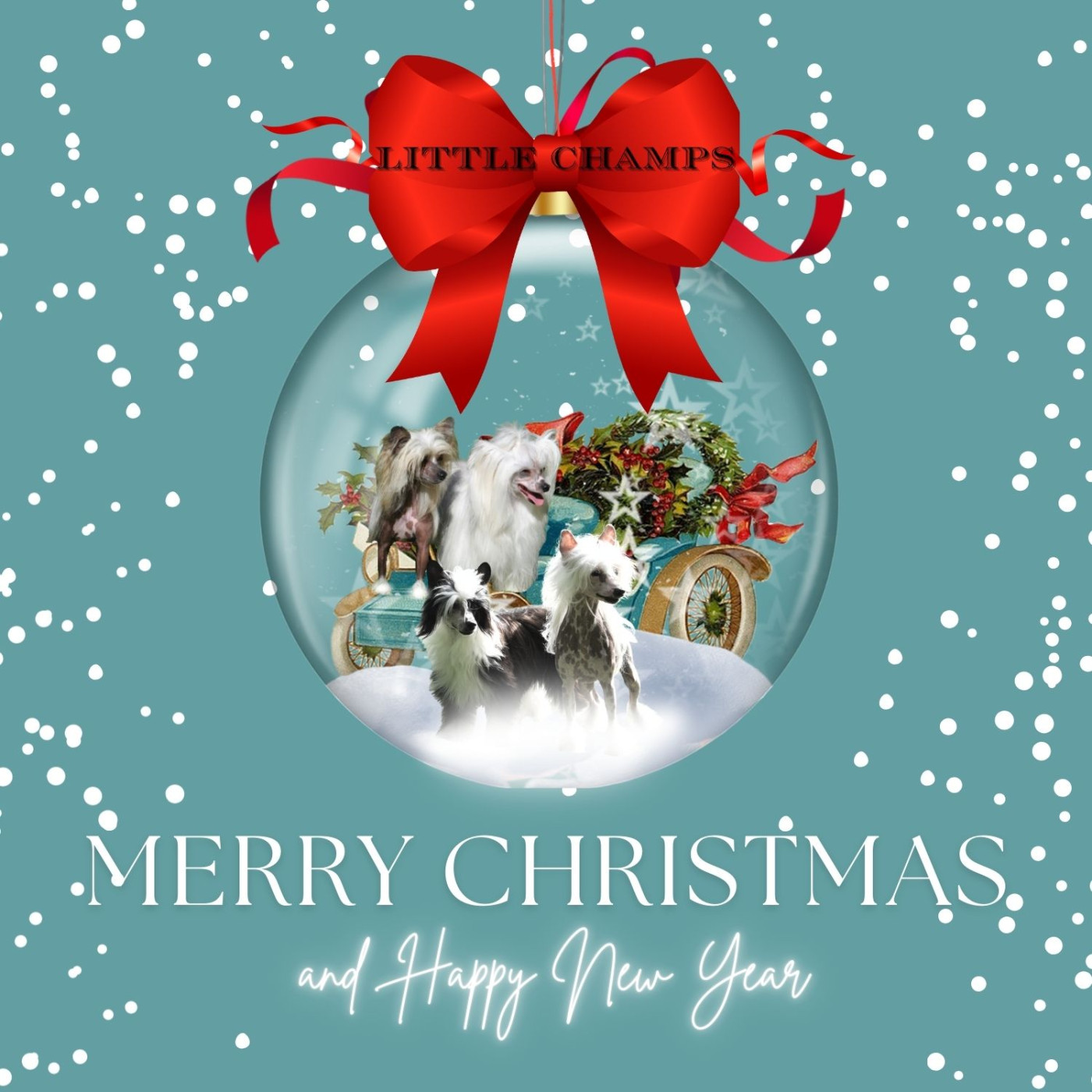 Little Champs - Bonnes fêtes de fin d'année !