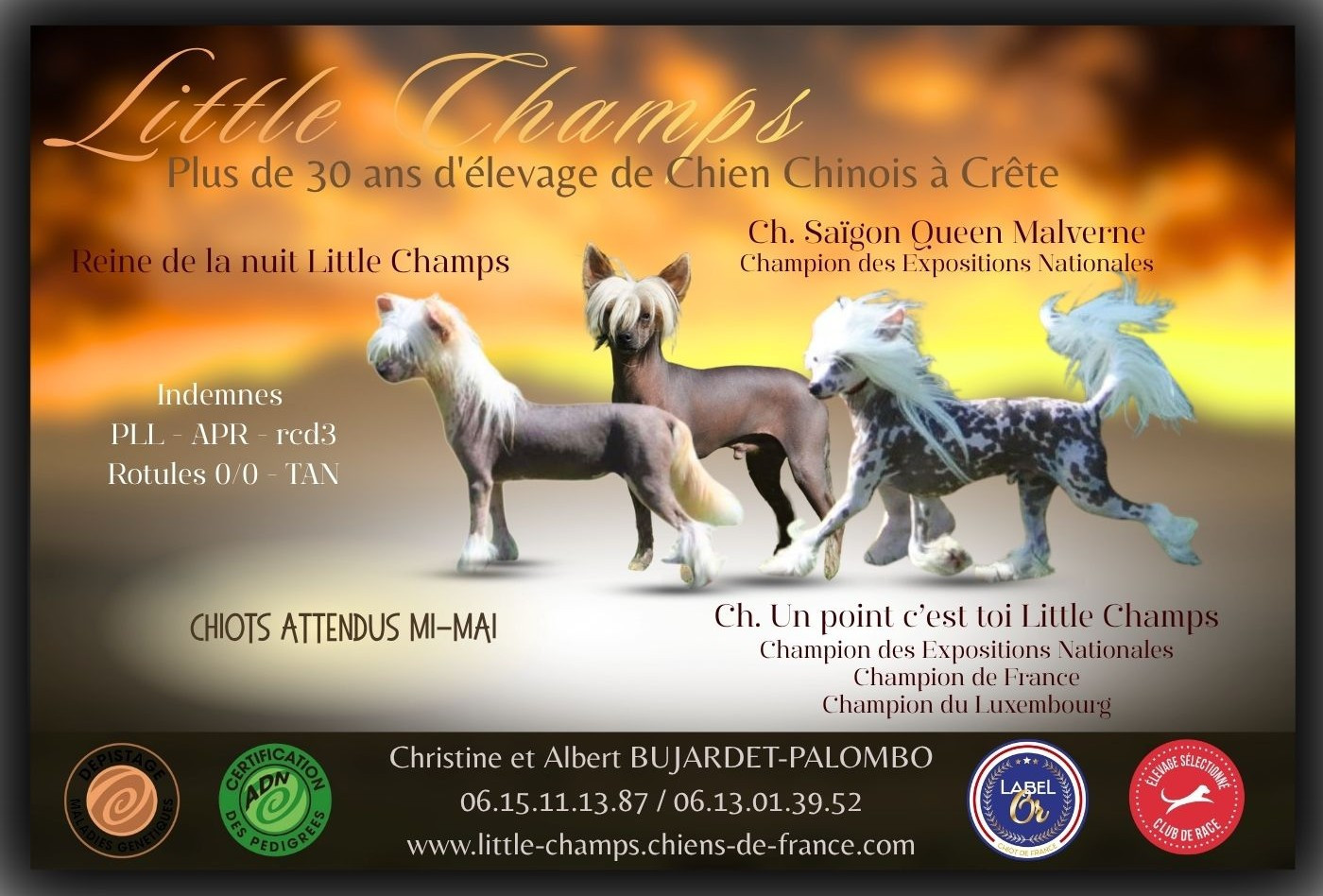 BB confirmés pour Régine