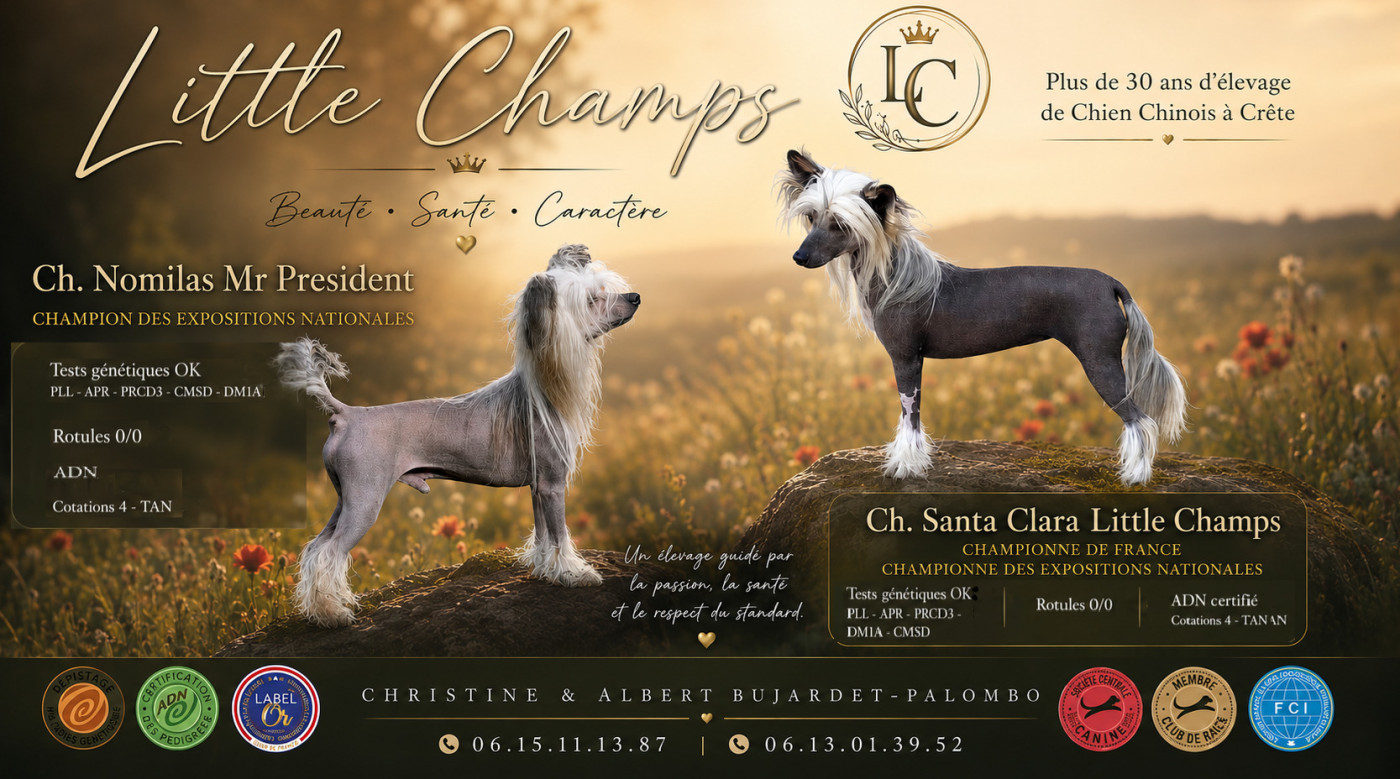 Little Champs - Prochaines naissances attendues fin juin