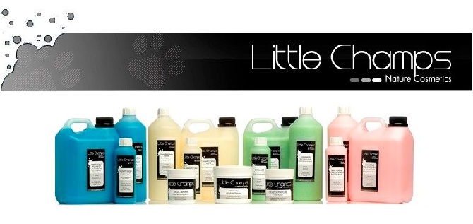 Little Champs - Nouveau site