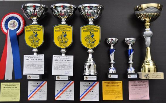 Little Champs - CACS de Maltot