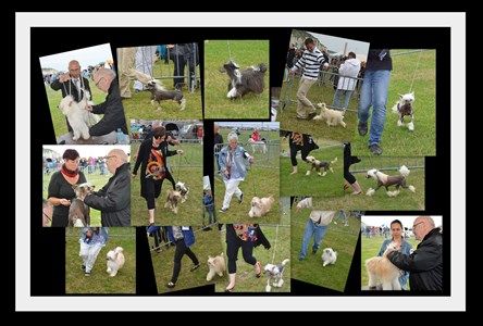 Little Champs - Exposition de Dieppe