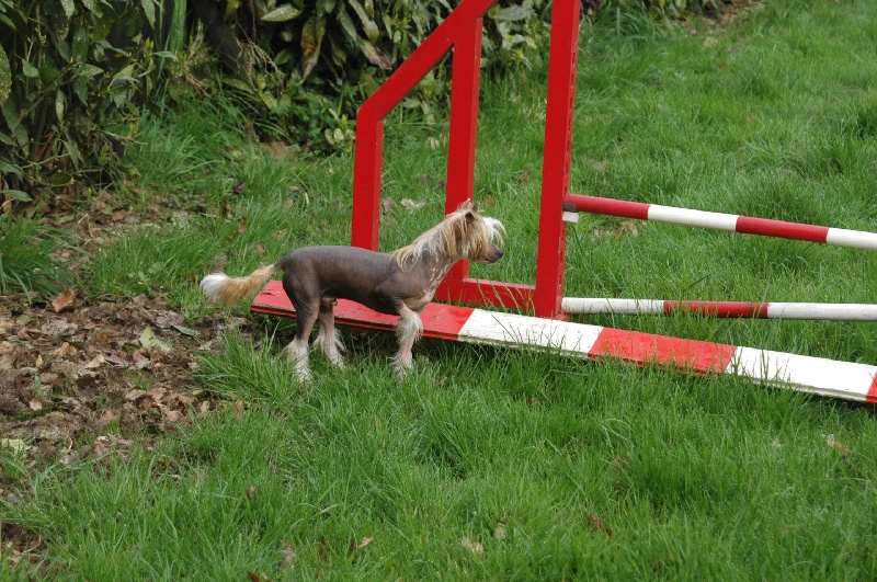 Agility