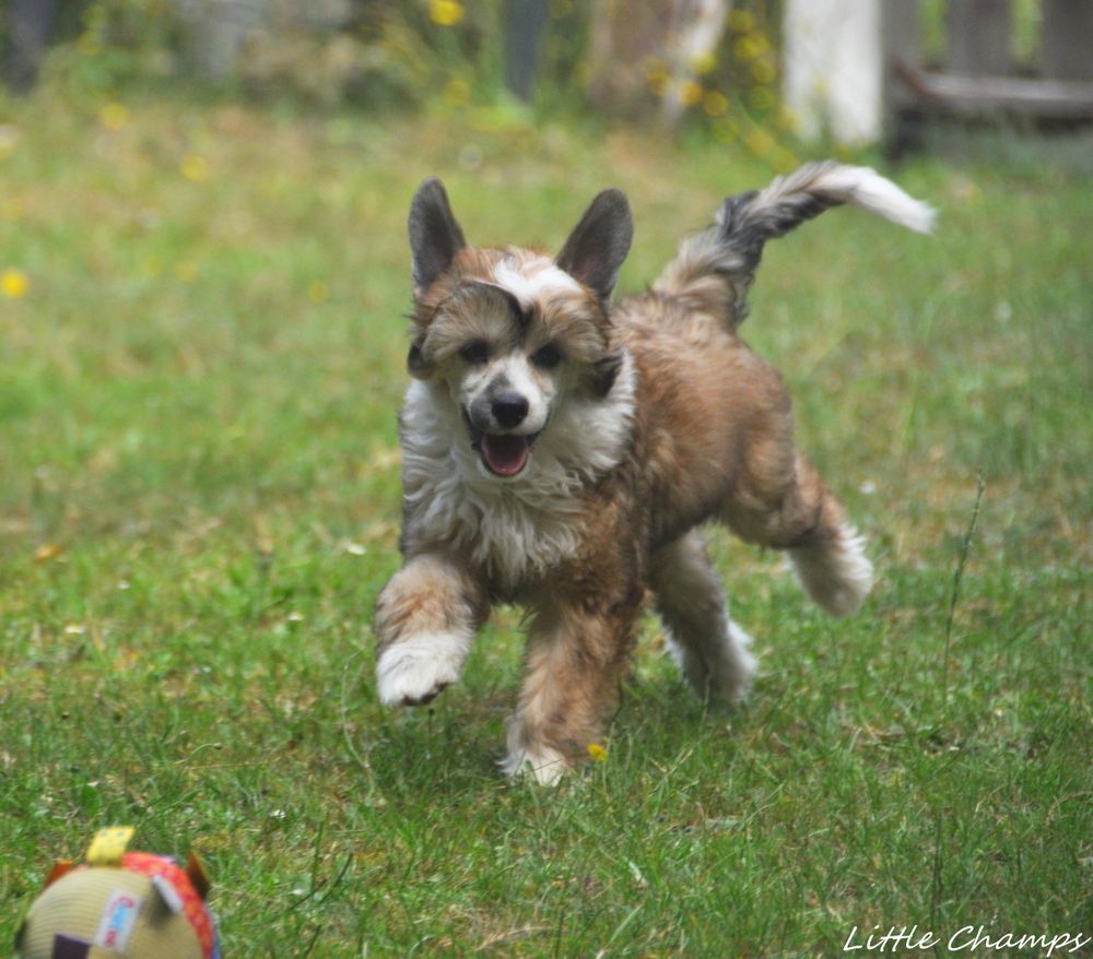 Un deux trois soleil